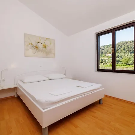 Biserka New Translation