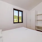 Biserka * Palit